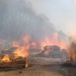 حريق هائل في شونة كتان بالغربية