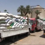 ارتفاع ملحوظ في توريد القمح بسوهاج