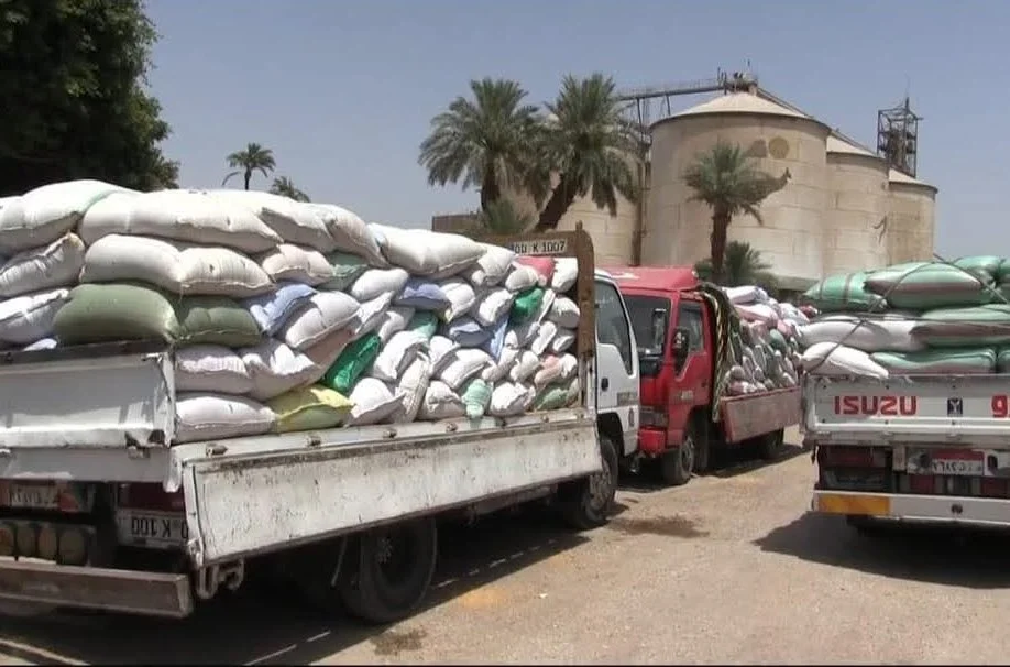 ارتفاع ملحوظ في توريد القمح بسوهاج