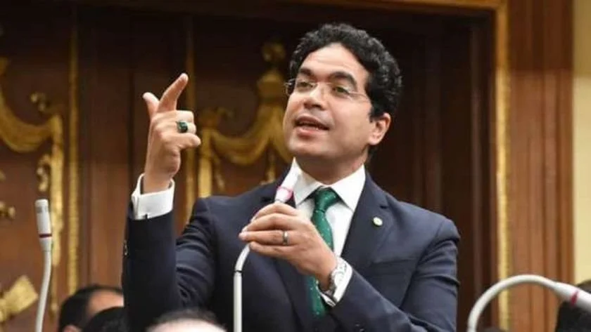 النائب ضياء الدين يدعو لتعزيز دور الدولة في حماية حقوق المواطنين