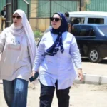 تطوير حديقة المنتزه التاريخية في بورفؤاد