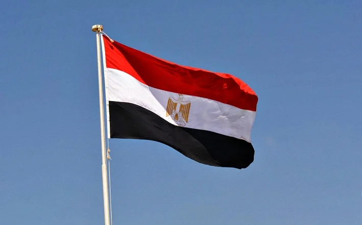 دور مصر والسعودية وقطر في إنجاح المسار الدبلوماسي