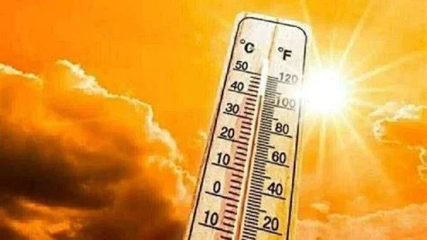 تفاصيل طقس الأيام المقبلة: حرارة وشبورة ورياح