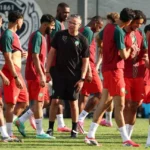 المغرب يستعد لمواجهة مصيرية أمام أسكتلندا
