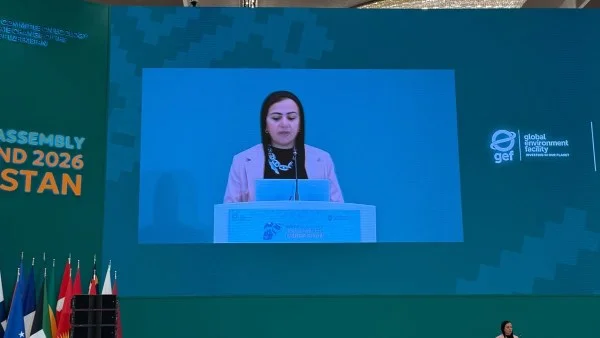 دعم الدول النامية لمواجهة التحديات البيئية
