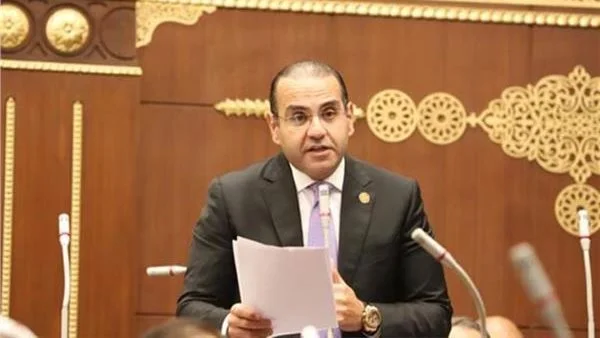 مصر شريك رئيسي في الاستقرار الإقليمي
