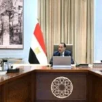 مدبولي يناقش تمويل مشروعات الطاقة المتجددة