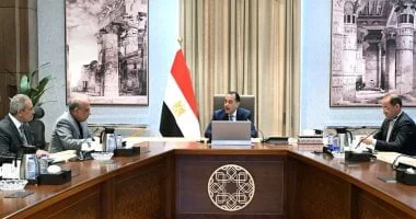 مدبولي يناقش تمويل مشروعات الطاقة المتجددة