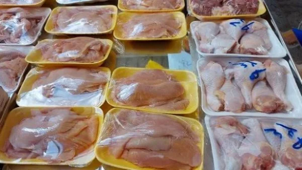 استقرار ملحوظ في أسعار الفراخ والبيض اليوم