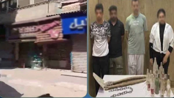 مشاجرة الأشقاء في حلوان: تفاصيل جديدة حول الخلافات العائلية