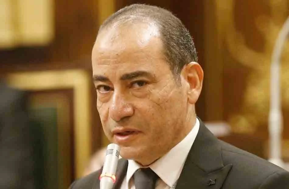 التحركات المصرية ودعم القضية الفلسطينية