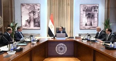 خطة لتوسيع محطة غرب المنيا للجاموس الخليط الإيطالي