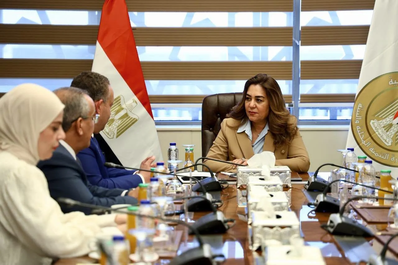 تعاون مثمر بين وزيرة التنمية المحلية ونقيب المهندسين