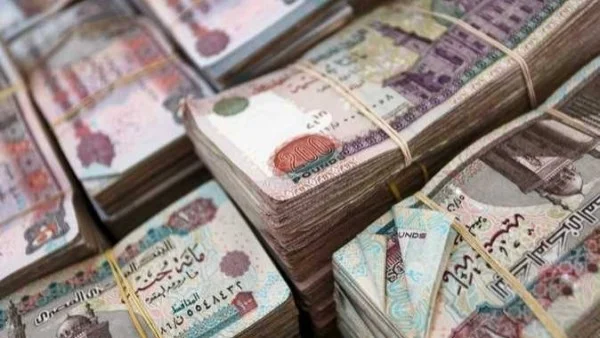أزمة التأمينات أمام البرلمان ومصير تعويضات المعاشات