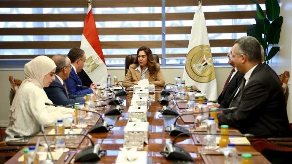 تعاون بين نقابة المهندسين ووزارة التنمية المحلية