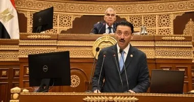 3.74 مليون شركة تدعم المشروعات المتوسطة والصغيرة في مصر