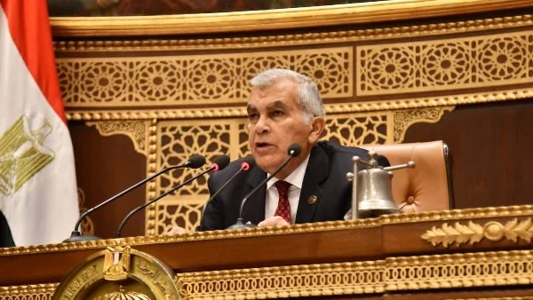 "الشيوخ" يناقش إنشاء مجمعات صناعية للمشروعات الصغيرة