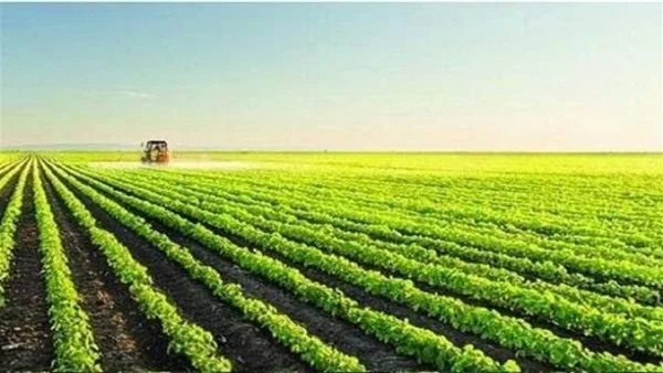 التكنولوجيا الحديثة تدعم الزراعة وتحمي المحاصيل