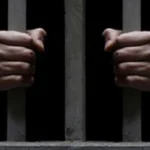 حادث مروع بالإسكندرية يحكم فيه على مقاول وسائق بالحبس