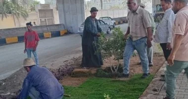 زراعة أحواض الزهور بشارع مشرفة لتحسين المظهر الحضاري