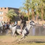 مولد الأسمنتي بقنا: احتفالات متنوعة وتنافس بالخيل