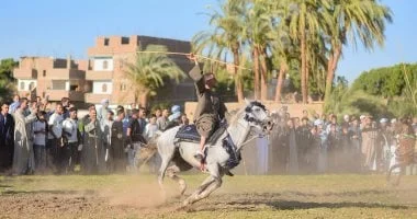مولد الأسمنتي بقنا: احتفالات متنوعة وتنافس بالخيل