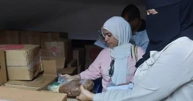 ضبط 600 كيلو أغذية فاسدة بالإسماعيلية
