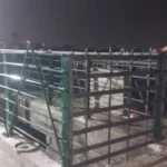 غلق الممرات الخطرة بكوبري الساحل في الجيزة