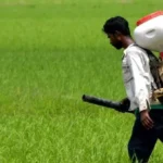 ماليزيا تعزز التعاون مع آسيان لحماية الإمدادات الغذائية
