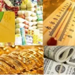 معايير حذف غير المستحقين من البطاقات التموينية وأسعار الذهب