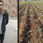 ضبط متهم بإتلاف محصول زراعي في البحيرة