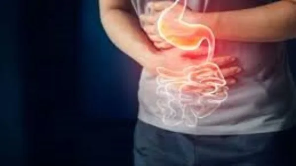 أهمية البروبيوتيك لصحة الجهاز الهضمي
