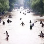 أسوأ موجات الحر في التاريخ