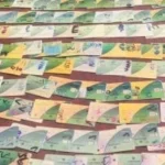 تطبيق التحول من الدعم العيني إلى النقدي في التموين