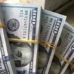 استقرار سعر الدولار أمام الجنيه المصري