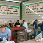 دعم المنافذ الحكومية في الوادي الجديد
