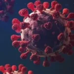 تسريبات حول أصل فيروس كورونا تثير الجدل مجددًا