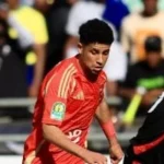 الأهلي يؤجل حسم مصير رضا سليم لحين رأي حسين عموتة