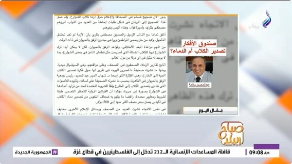 أزمة الكلاب الضالة في مصر: بين الرفق والحماية