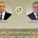 وزير الخارجية يبحث التطورات الإقليمية مع نظيره الباكستاني
