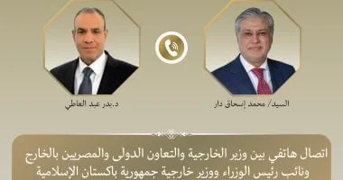 وزير الخارجية يبحث التطورات الإقليمية مع نظيره الباكستاني