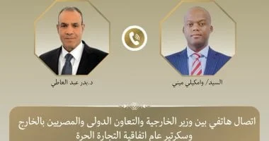 وزير الخارجية يتباحث مع سكرتير اتفاقية التجارة الحرة الأفريقية