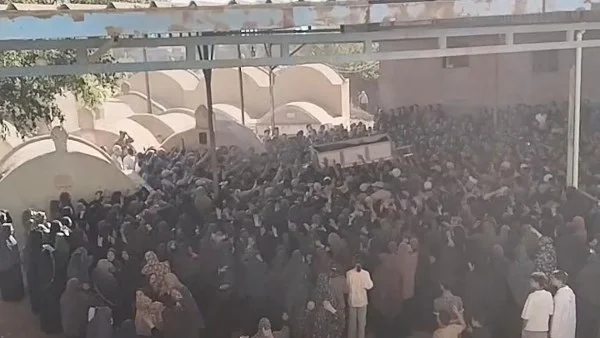 مقتل مزارع وابن شقيقه في مشاجرة بالمنوفية
