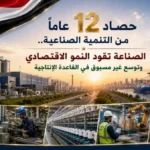 12 عامًا من التنمية الصناعية في مصر