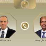 دعم التكامل القاري وتعزيز السلم الإفريقي
