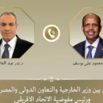 دعم مصر لتعزيز السلم والأمن في أفريقيا