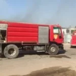 إصابة شخص ونفوق7 رؤوس ماشية في حريق بسوهاج