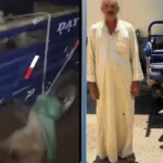 تفاصيل حادثة تكبيل كلبين في المنوفية