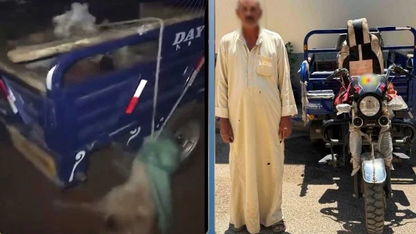 تفاصيل حادثة تكبيل كلبين في المنوفية