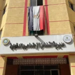 تطوير الأداء في الحضانات والمراكز الاجتماعية بالدقهلية